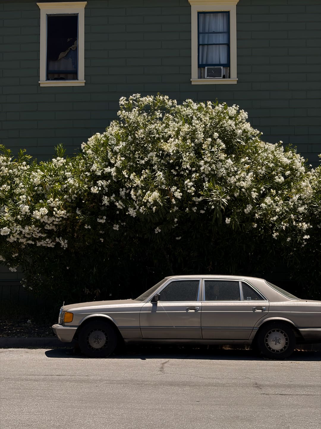 SLO — July 2026
