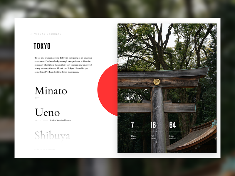 3404060-visual-journal-layout.png
