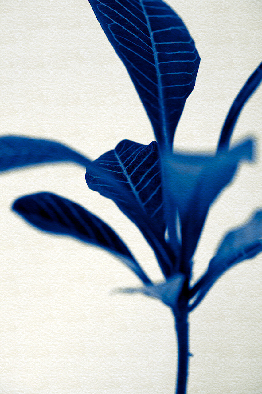 blue.jpg