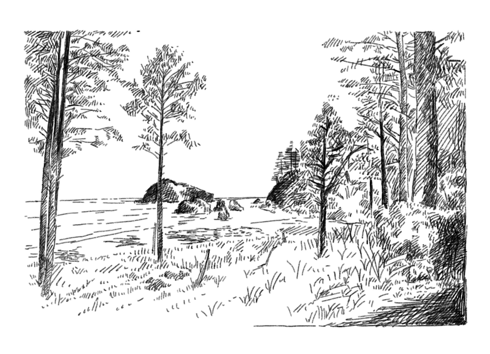2d452b0639d2725482.jpg