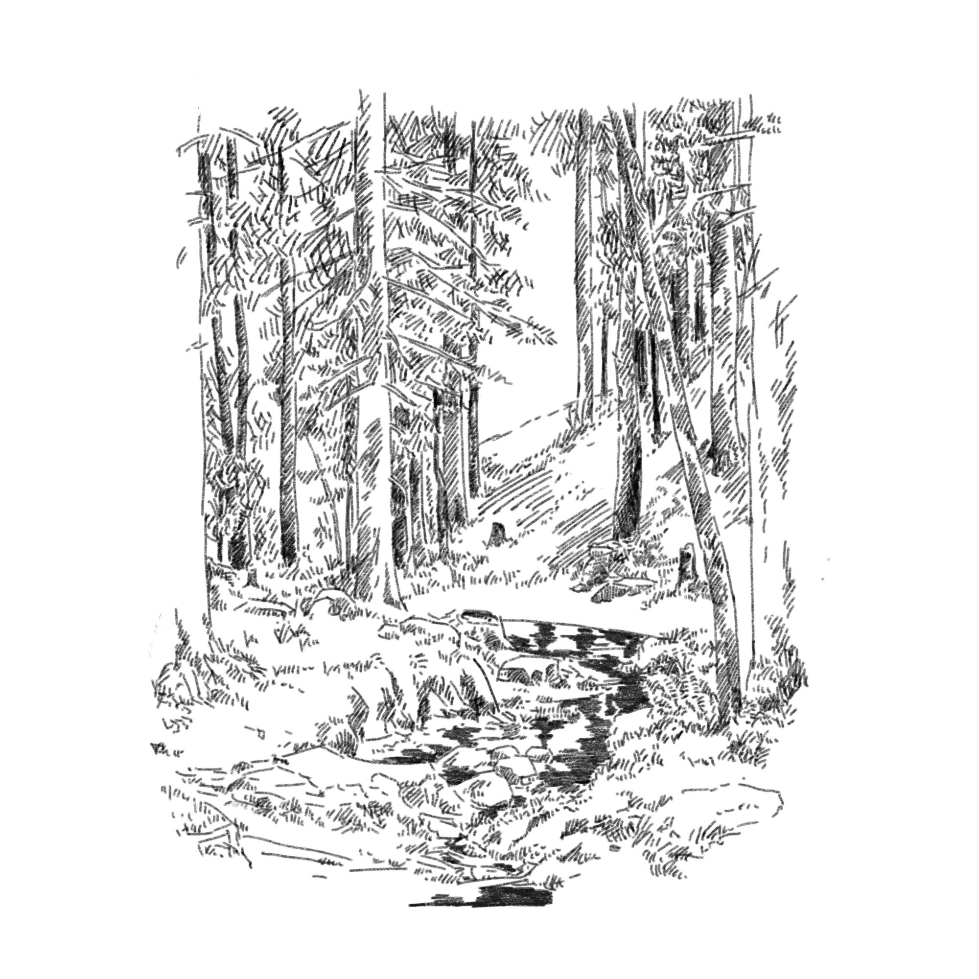 sketches/947863226dab496dd.jpg