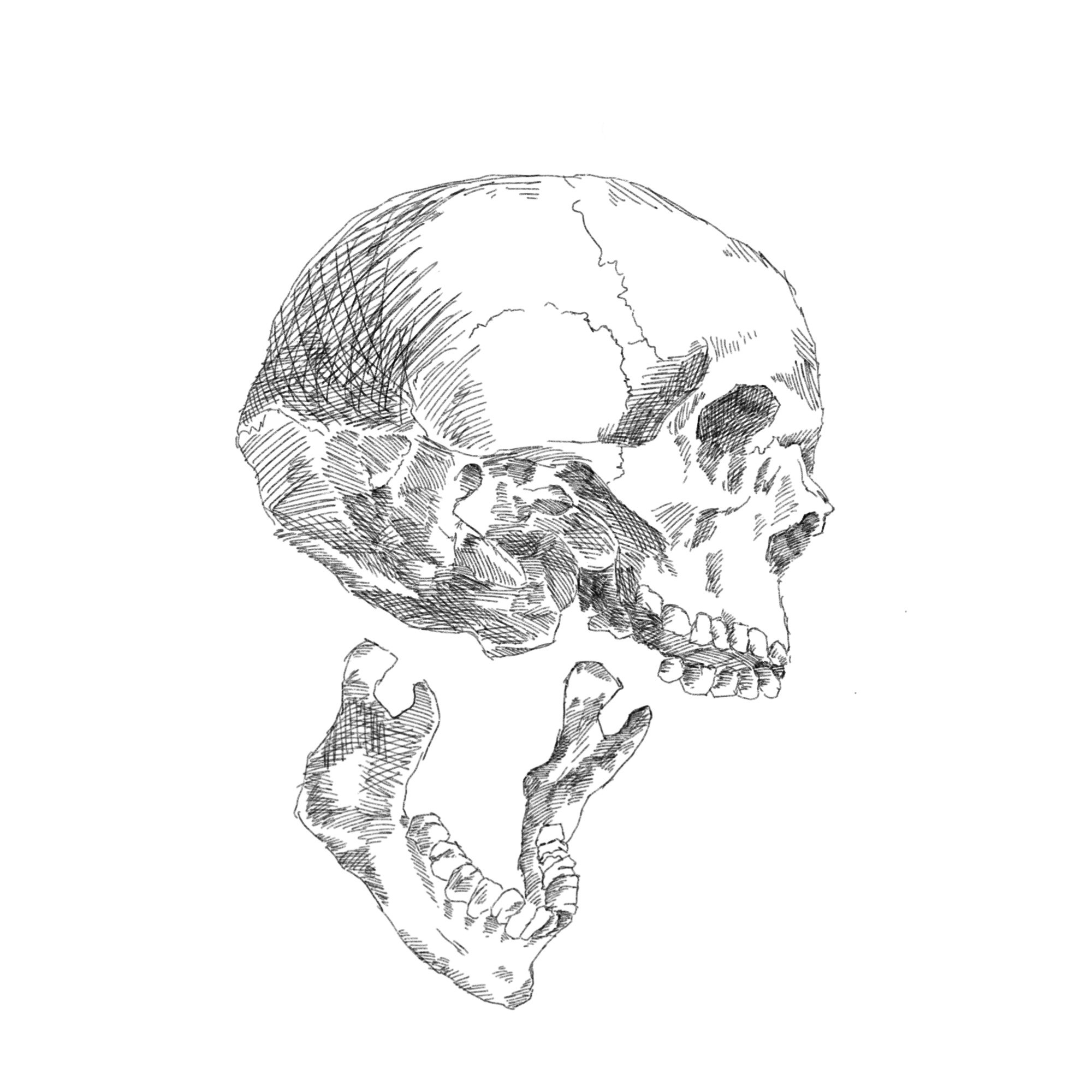 965aafb14f53331c7.jpg